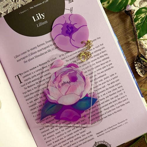 فاصلة شاي جينشي