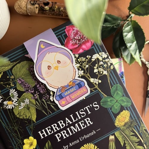 فاصلة بومة الساحرة