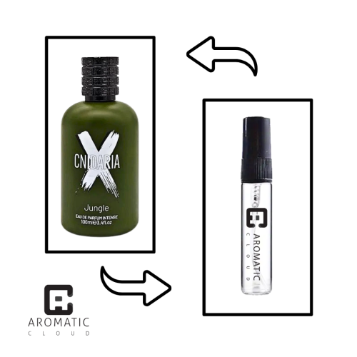 تقسيمة عطر صمام سينداريا اكس جنجل