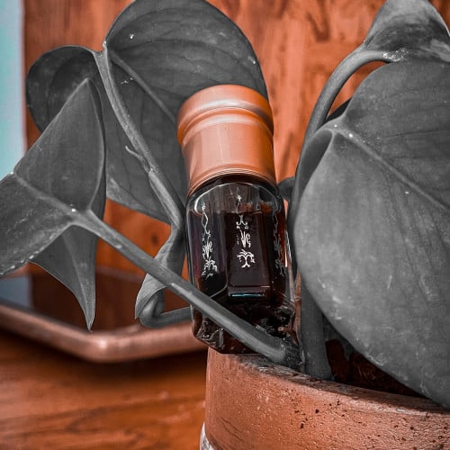 دهن هندي نجلاند قديم