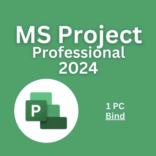 Project 2024 Professional 1PC [BIND]