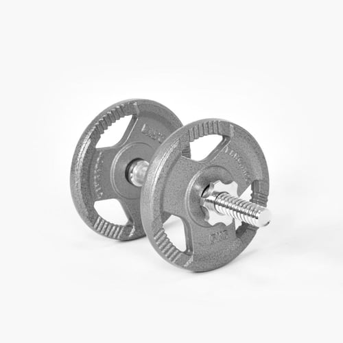 بار صغير مع قرصين حديدي مجلفن 11.5 كجم