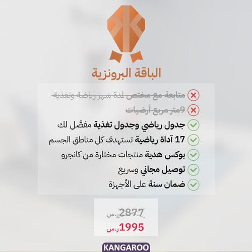 الباقة البرونزية مع 17 منتج وجدول رياضي وغذائي