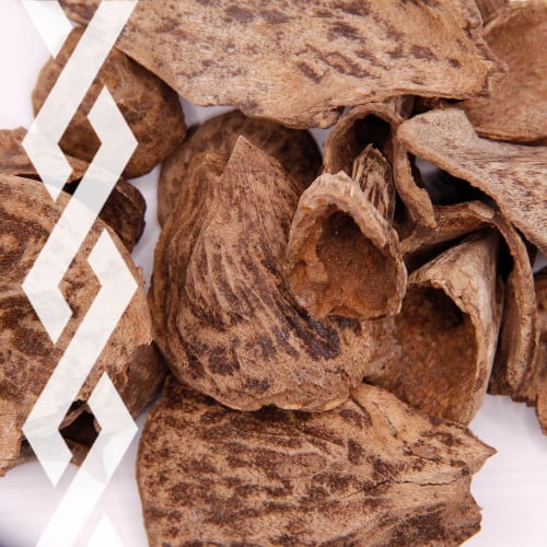 موروكي حي دبل قواقع