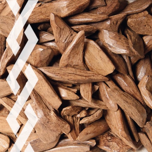 موروكي محسن الفخامة