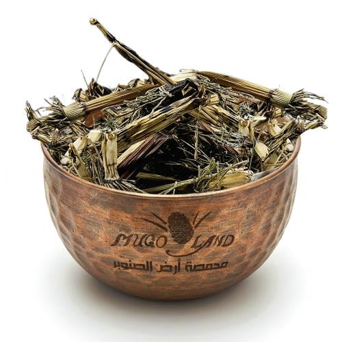 عشبة ذيل الحصان R807