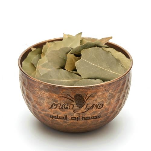 ورق غار