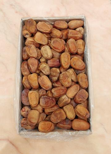 كرتون تمر نبتة علي بانوراما