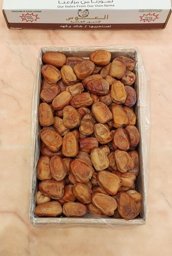 كرتون تمر نبتة علي بانوراما