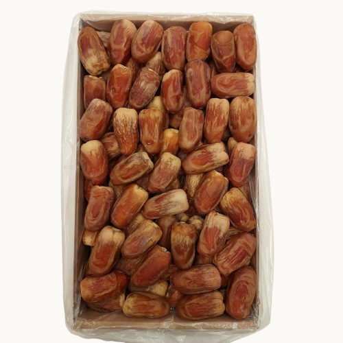 كرتون تمر صقعي بانوراما