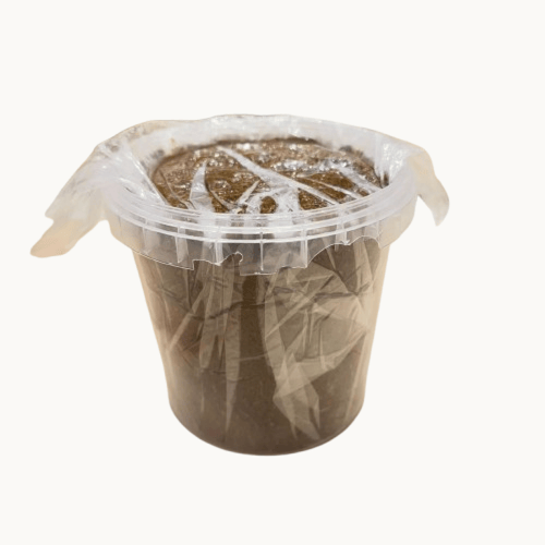 عبيط تمر العوس ممتاز