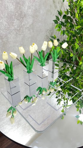 صينية تقديمات