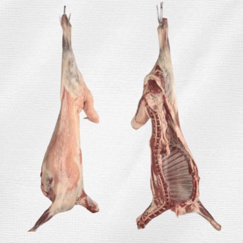 نصف ذبيحة نعيمي (جذع)