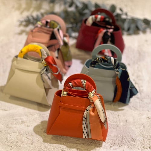 هدية الشنطة الانيقة