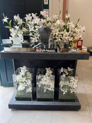 عربيه شبكه فاخره