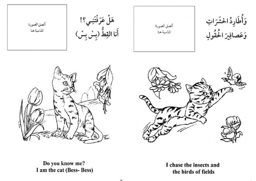 مجموعة أقرأ وأفهم وألوّن - 4 قصص