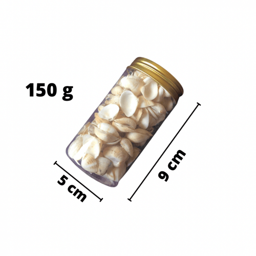 اصداف بحر صناعيه حجم صغير