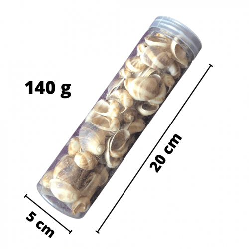 قواقع صناعيه للاعمال الفنيه