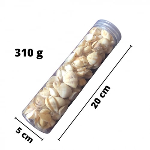 اصداف بحر صناعيه حجم صغير