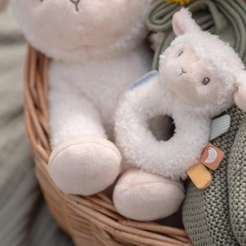 خشخيشة الخروف