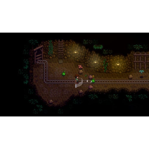 Stardew Valley