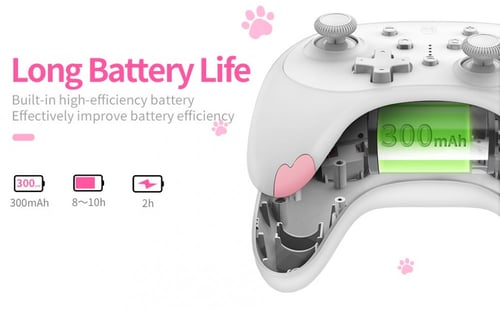 Kitten Wireless Controller