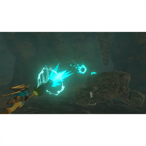 The Legend of Zelda: Tears of the Kingdom