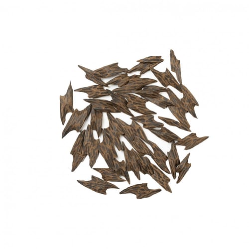 عود كمبودي محسن (التايقر)