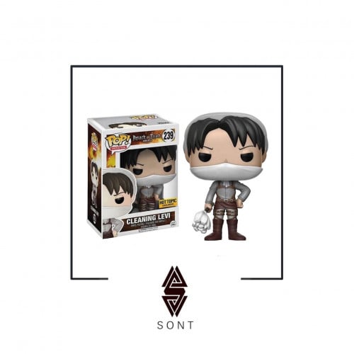 POP! CLEANING LEVI