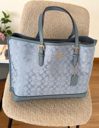 COACH MOLY 29cm