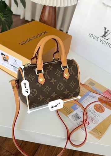 LOUIS VUTTION NANO SPEEDY