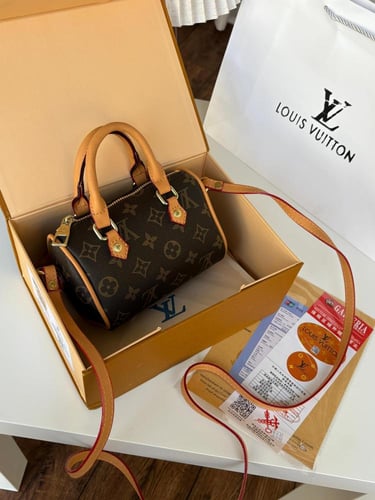LOUIS VUTTION NANO SPEEDY