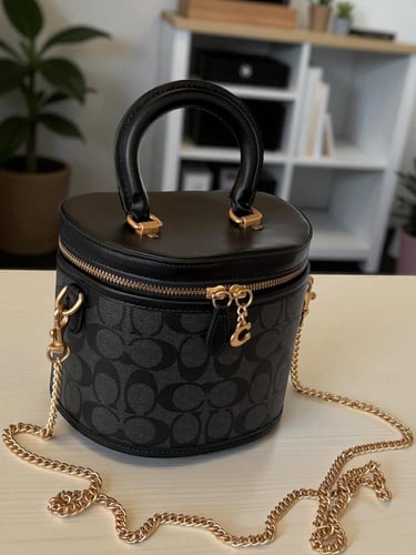 COACH MINI