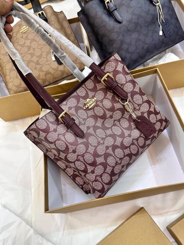 COACH MOLY 25