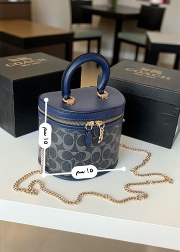 COACH MINI