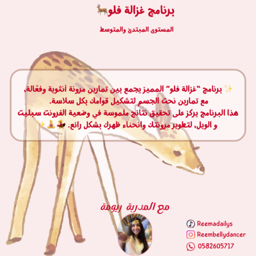 برنامج غزالة فلو