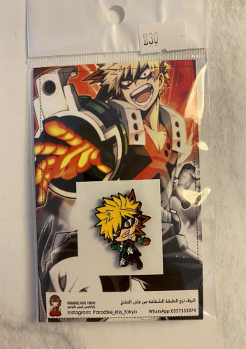 Boku no Hero Academia pins (2)