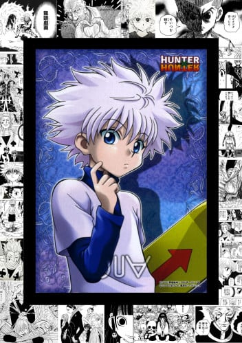 hunter x hunter (14)