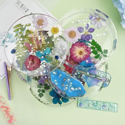 ورد مجفف مجموعة رقم 12