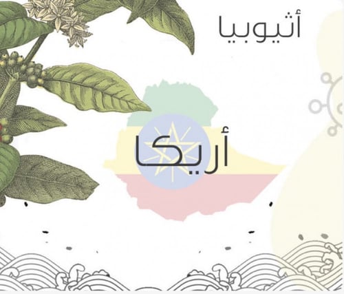 اريكا اثيوبيا