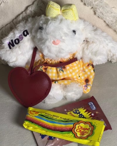 ارنب العيد مع امكانية كتابة الاسم على الاذن