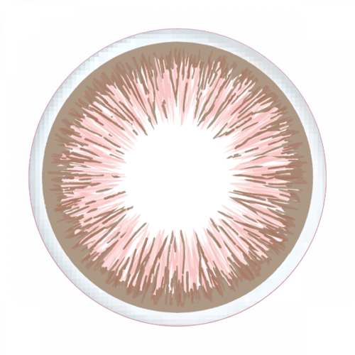 عدسات جونسون فريش روز اليومية Define Fresh Rose