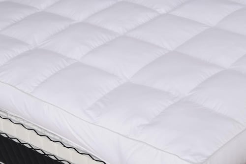 لباد ماجستيك 14 سم الملكي | MAJESTIC