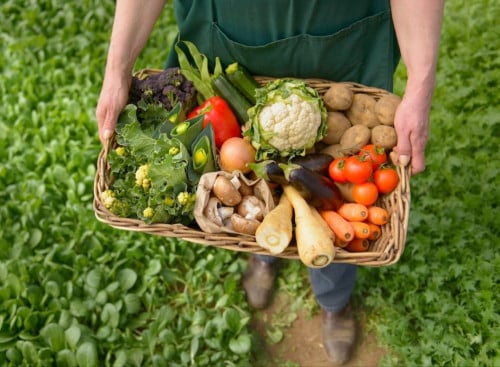 قناة الوصفات [تيلجرام]