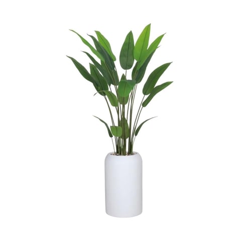 شجرة ورق عصفور الجنة حوض فيبر 533-1629