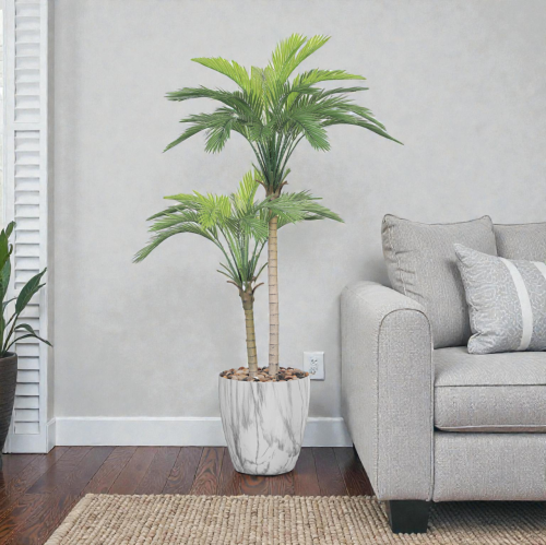 شجر اريكا وسط 2 فرع حوض بلاستيك