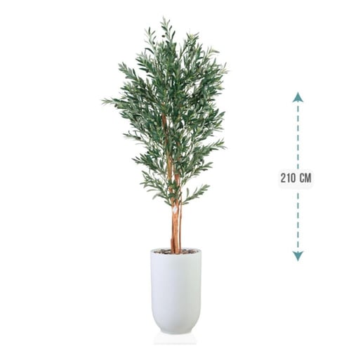 شتلة ورق قلب اخضر حوض فيبر 210 سم : 246-533