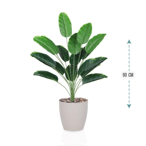 شتلة ورق موز 18 ورقة حوض بلاستيك 90 سم : 78913-203...