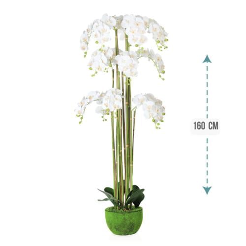 شجر ورد اوركيد 160 سم : 490