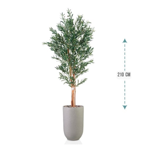 شتلة ورق قلب اخضر حوض فيبر 210 سم : 246-533